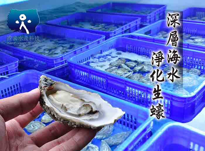 深層海水生蠔3L/10顆(契作區域-馬祖) - 探索水產科技